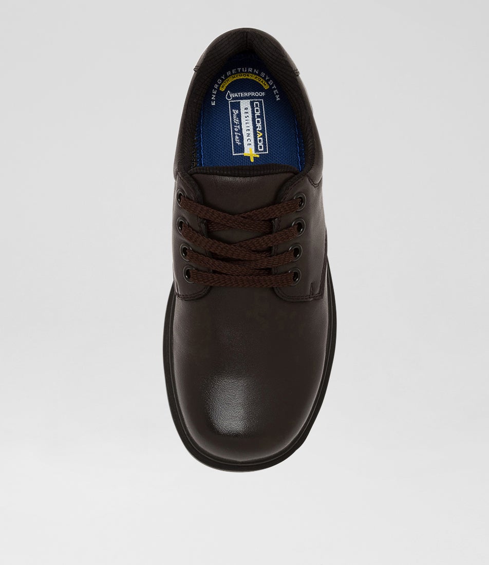 Roar Youth E Brown Leather Lace Up Shoes