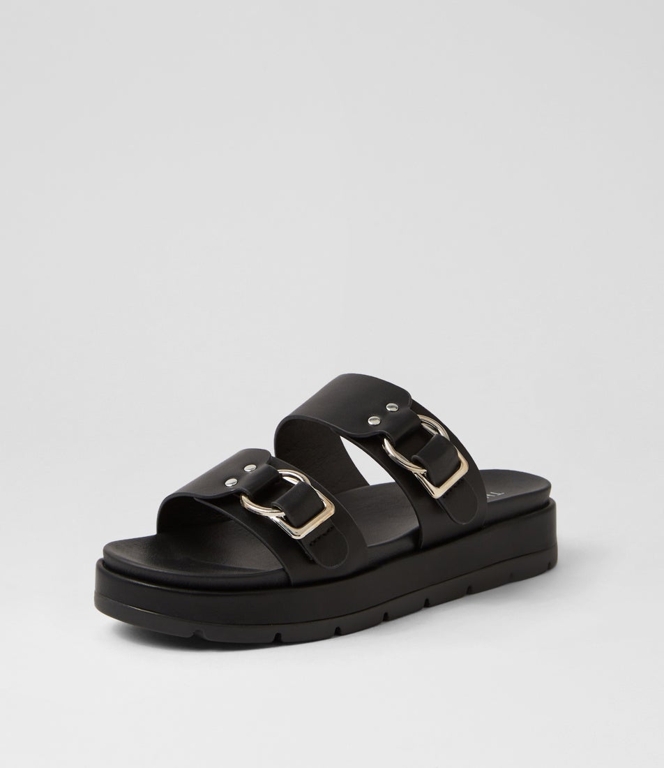Litmus Black Slides